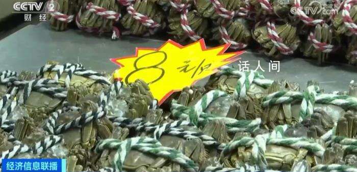 大閘蟹跌破10元一只 市場(chǎng)供大于求
