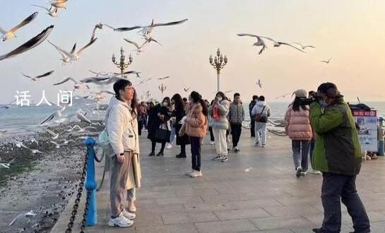 青島棧橋拍照大爺被要求停止營業 在棧橋拍照近40年的曹祚文已經一個多月沒開工了