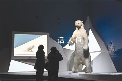 共同家園 大自然的奇跡