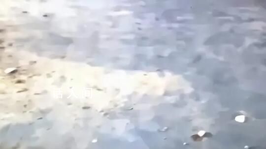 以軍警告“將擴大戰事” 以軍撤出希法醫院重新部署