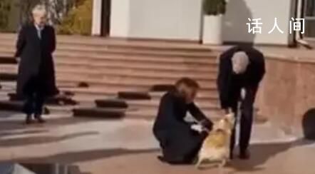 摩爾多瓦總統(tǒng)愛犬咬傷奧地利總統(tǒng) 解釋說附近人群讓她的狗受到了驚嚇