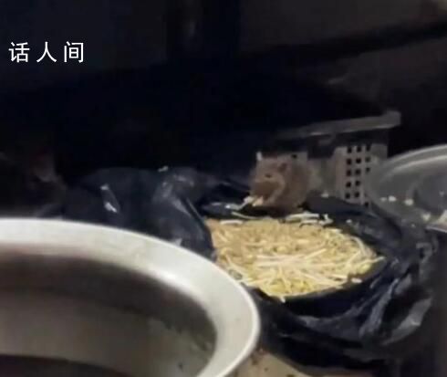重慶火鍋店后廚老鼠吃豆芽 官方通報