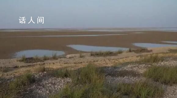 鄱陽湖已不足1000平方公里 鄱陽湖通江水體面積縮小為893平方公里
