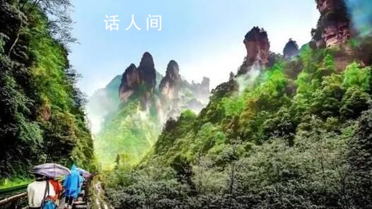 遍地都是韓國人 張家界有被“孝”到