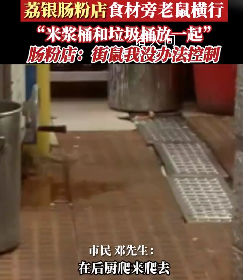 廣州一連鎖腸粉店被曝老鼠橫行 衛生狀況十分堪憂