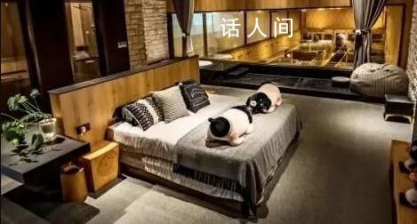 農場推一晚8888元“豬景房” 退房可帶走1只豬