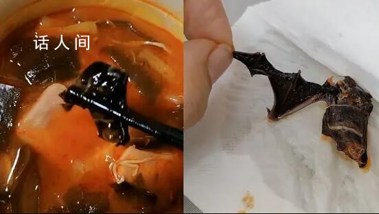 女子投訴楊國福麻辣燙吃出蝙蝠 回應：將反饋給相關部門處理