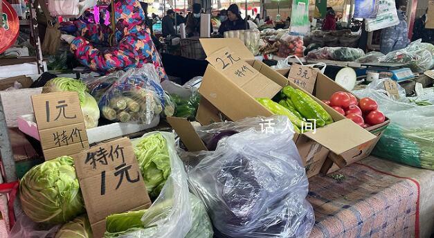 多地蔬菜低價賤賣無人采收 菜價有望抬升農戶仍難止損