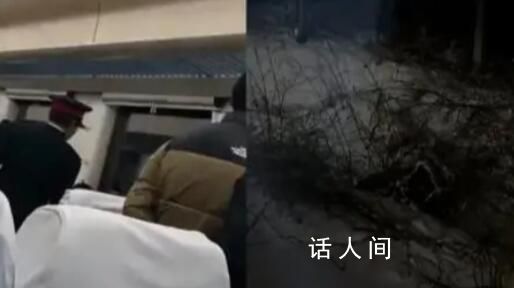 K7541列車與兩頭野豬相撞致晚點 導致列車晚點35分鐘