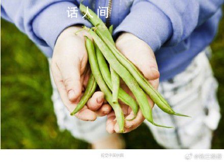 17歲女孩吃下半斤生豆角中毒 豆角可以吃卻要這樣吃