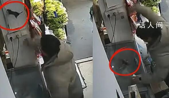 男子4秒連拍6掌徒手摔死老鼠 這種生猛的舉動讓網友們感到震驚
