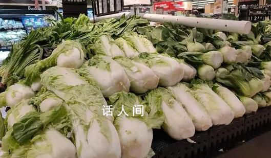 白菜批發價最低2毛一斤 官媒發聲