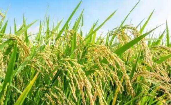 義烏回應倡議居民保持10天以上存糧 只是倡導不必過度解讀