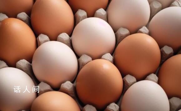小伙買1盒土雞蛋細看變“土”雞蛋 這是典型的誤導消費者