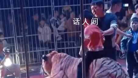 廣西一馬戲團讓孩子騎老虎拍照 文旅局回應：未審批該表演