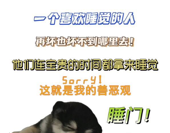 2023十大網絡流行語公布 《語言文字周報》第五次評選十大網絡流行語