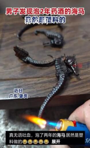 男子發(fā)現(xiàn)泡2年的藥酒里海馬竟是塑料 用火燒會收縮還伴有塑料味