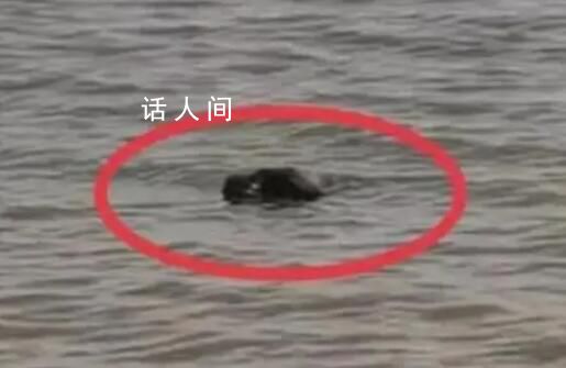 深圳警方通報發現浮尸:排除刑案