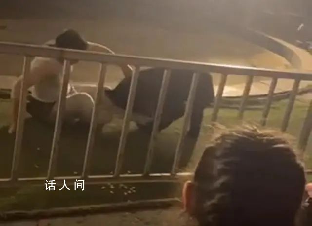 黑熊表演時抱咬馴獸師 動物園回應