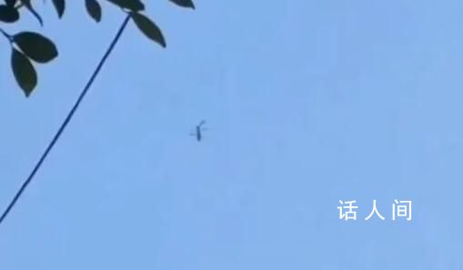 以色列迷你無人機被拍到 形似飛行手榴彈