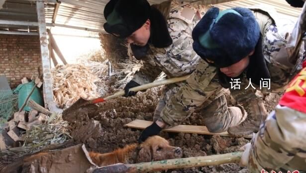 金毛震后泥漿被困30小時(shí)獲救 每一個(gè)生命都應(yīng)該被尊重