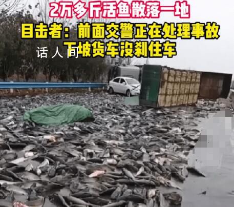 貨車雨雪天側翻魚撒落一地 所幸沒有人員受傷