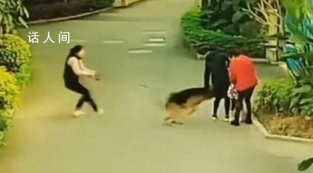 大型犬突然沖出緊咬散步小孩不放 主人拉都拉不住
