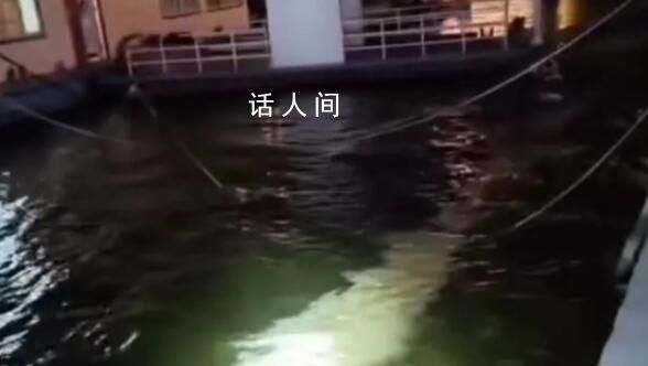 柳州回應江上有百米長不明漂浮物 具體情況會進一步調查