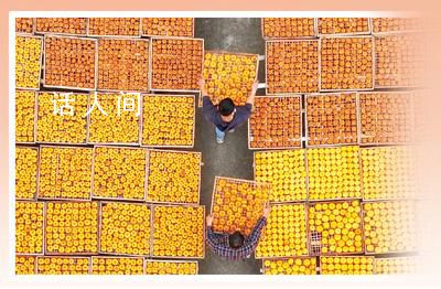 把中國故事講得愈來愈精彩 凡人微光星火成炬