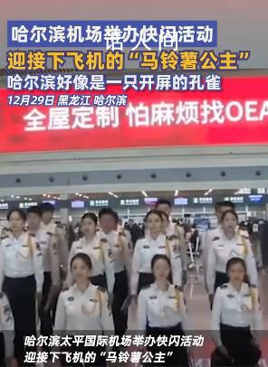 哈爾濱機場快閃迎接馬鈴薯公主 哈爾濱好像一只開屏的孔雀