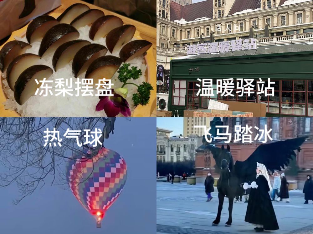 哈爾濱“討好型市格”背后是真誠 爾濱你讓我感到陌生