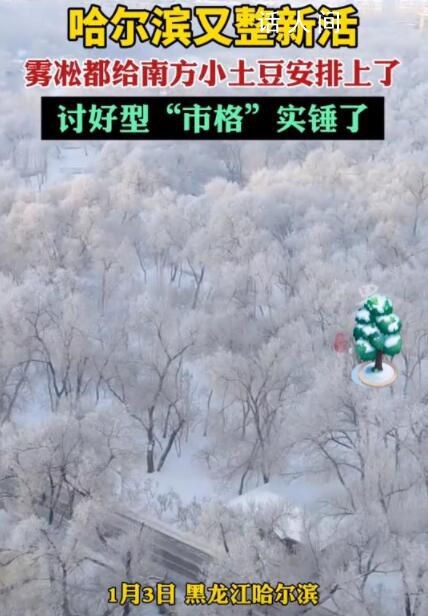 哈爾濱“討好型市格”實錘 出租車司機都開始溫柔待人了