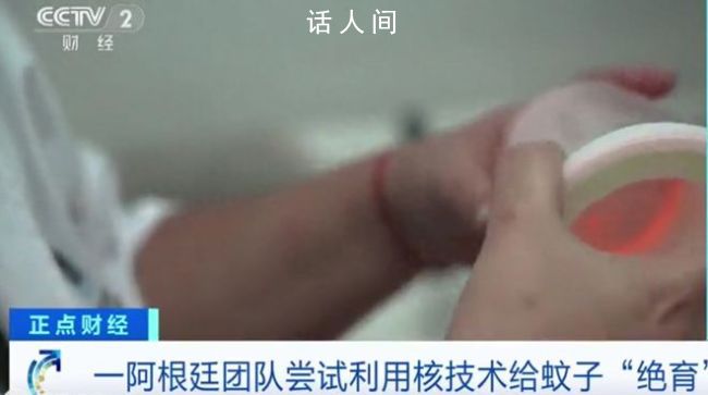阿根廷用輻射給蚊子做絕育 蚊子滅絕可能會面臨哪些問題