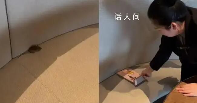 幼兒園突然閉園?教育部門:正調(diào)查