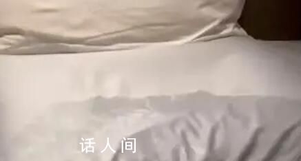 砂糖橘東北睡1宿變果脯 直接熱到崩潰