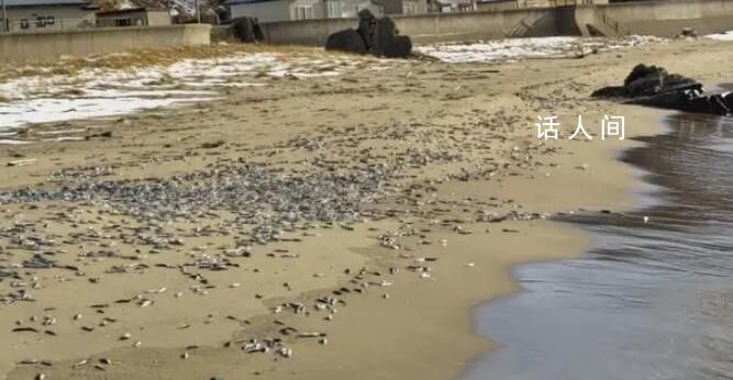 日本福島百人因吃生魚片食物中毒 福島市政府已責令該酒店在11日停業一天