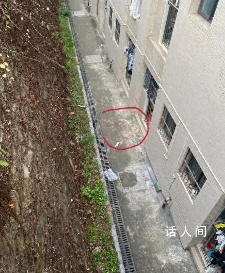 女生校內墜亡 家屬:她沒有輕生跡象