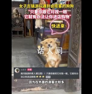 女子古鎮游玩遇到會攬客的狗狗 只要你跟它對視一眼它就有辦法讓你進店購物