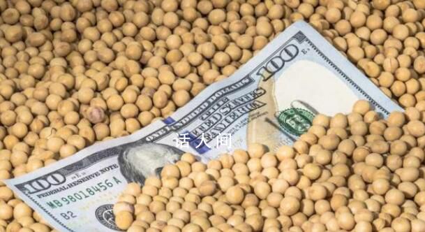 美國農(nóng)業(yè)部:中國采購近30萬噸大豆