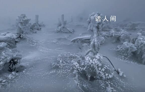 男子獨自上山看雪發(fā)現(xiàn)“冰封秘境” 仿佛置身于一個童話般的世界