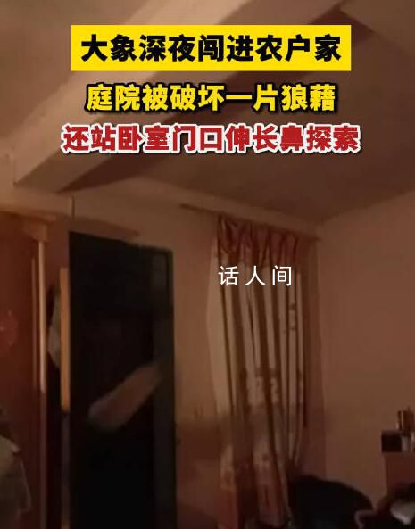 村民深夜熟睡被大象撞開臥室門 正伸著長鼻在門口來回探索