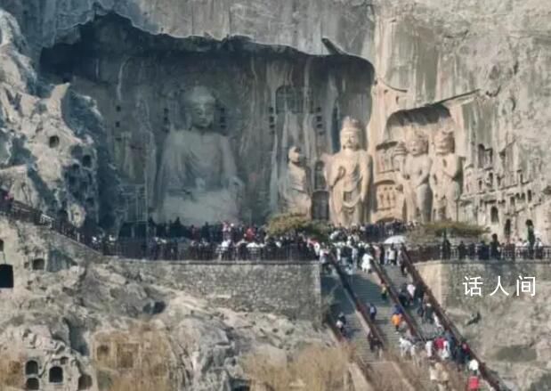 游客吐槽龍門石窟飛蟲多 以前沒有過這種情況