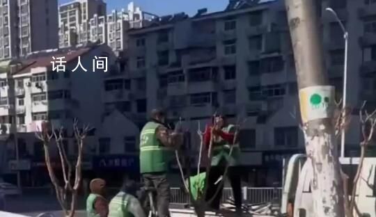 官方回應環衛工人用毛巾擦樹枝 園林工人是在處理紫薇樹的煤污病