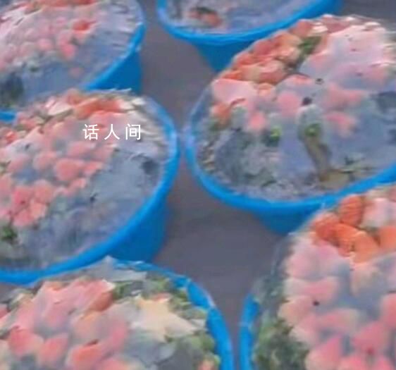 男子買老人全部草莓發(fā)現(xiàn)多是葉子 遠(yuǎn)遠(yuǎn)超出了正常墊葉子的數(shù)量