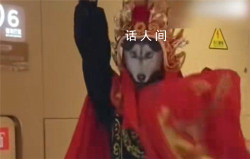 00后川劇變臉變出二哈表情包 給觀眾帶來了一個意想不到的驚喜