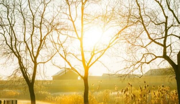 大回暖!多地將沖擊今年首個20℃