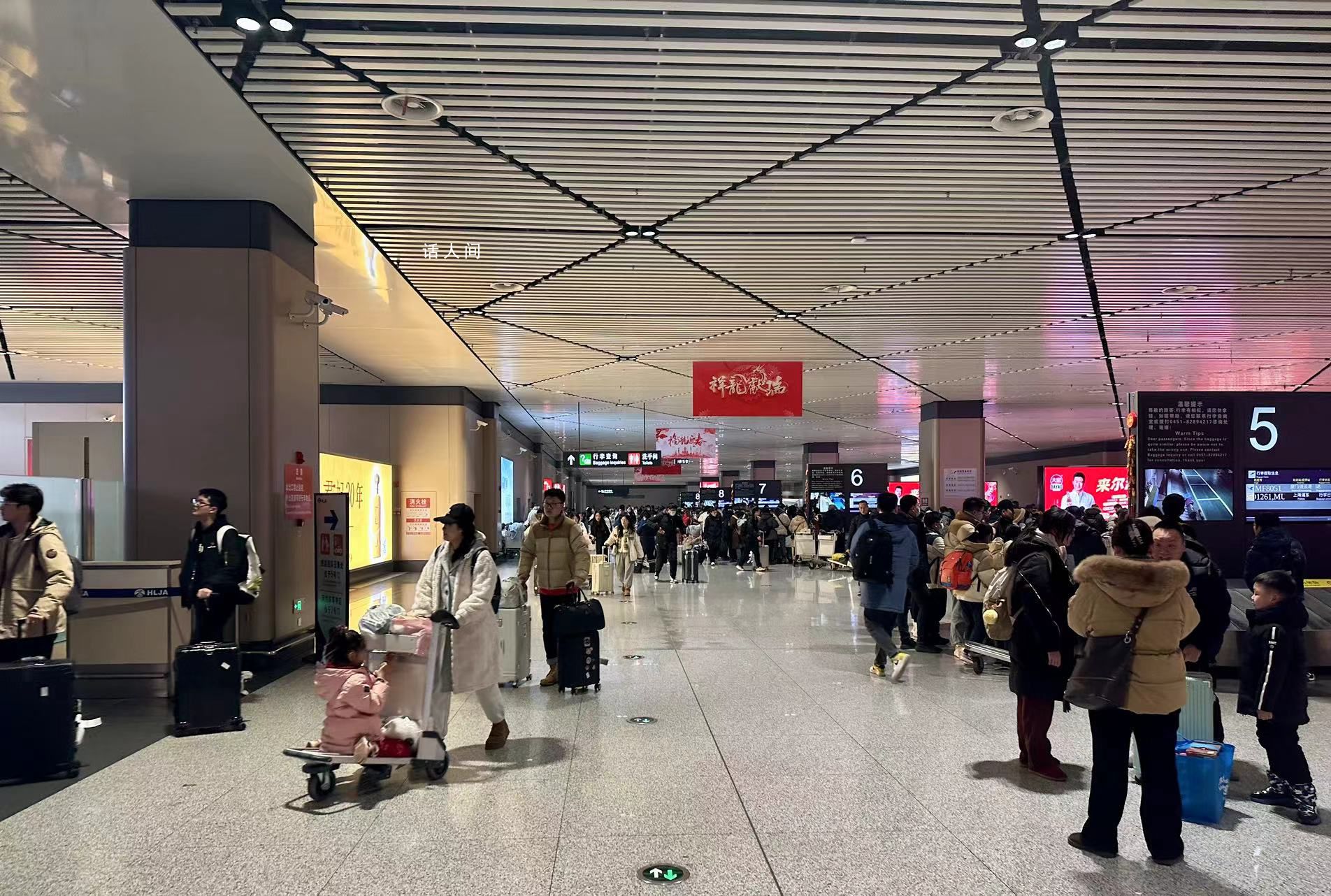 哈爾濱人重新發(fā)現(xiàn)哈爾濱 旅拍占滿商業(yè)街