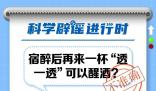 宿醉后再來一杯可以醒酒?假的