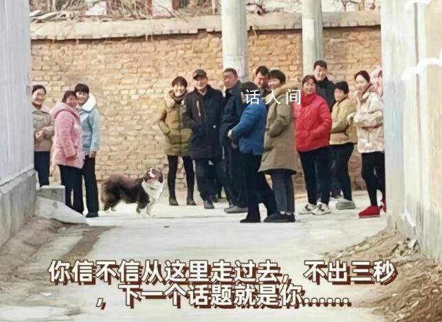 青年外出打工3年被傳“已被槍斃” 農(nóng)村碎嘴子現(xiàn)象已然有了相對普遍性和鮮明的社會性