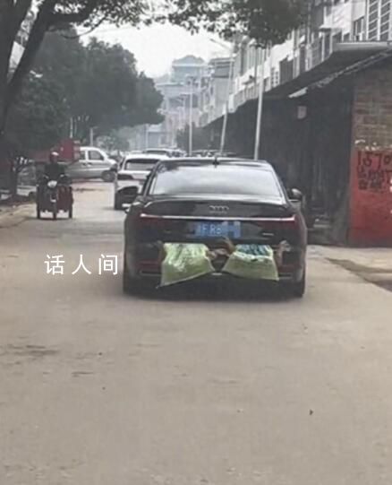 女子返程 車尾掛著媽媽養(yǎng)的4只鴨